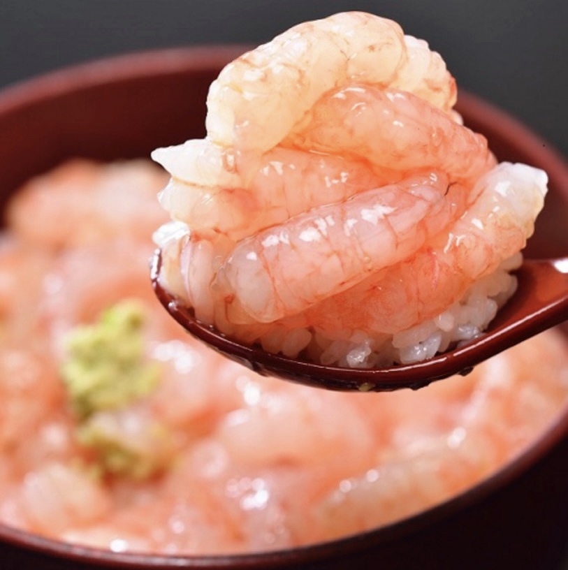 日本甜蝦刺身