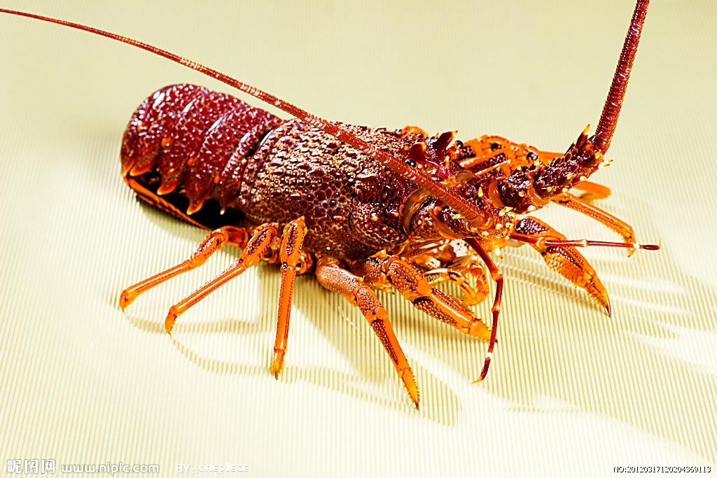 🔥火火密密餸🔥~聖誕，除夕，海鮮套餐