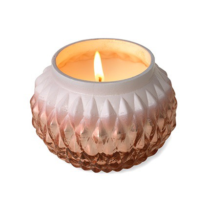 美國手工蠟燭 Greatfruit Pine 葡萄柚西伯利亞松-摩登玫瑰金白瓷瓶-Small