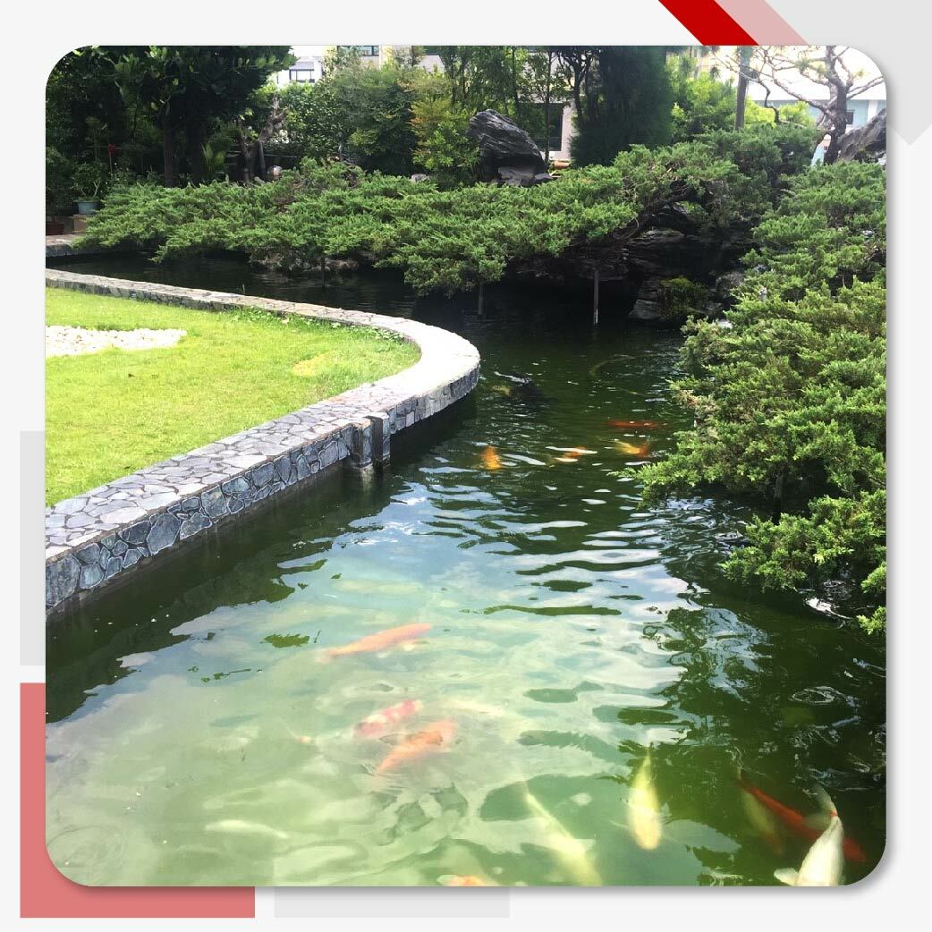 彰化加興企業戶外魚池防水工程