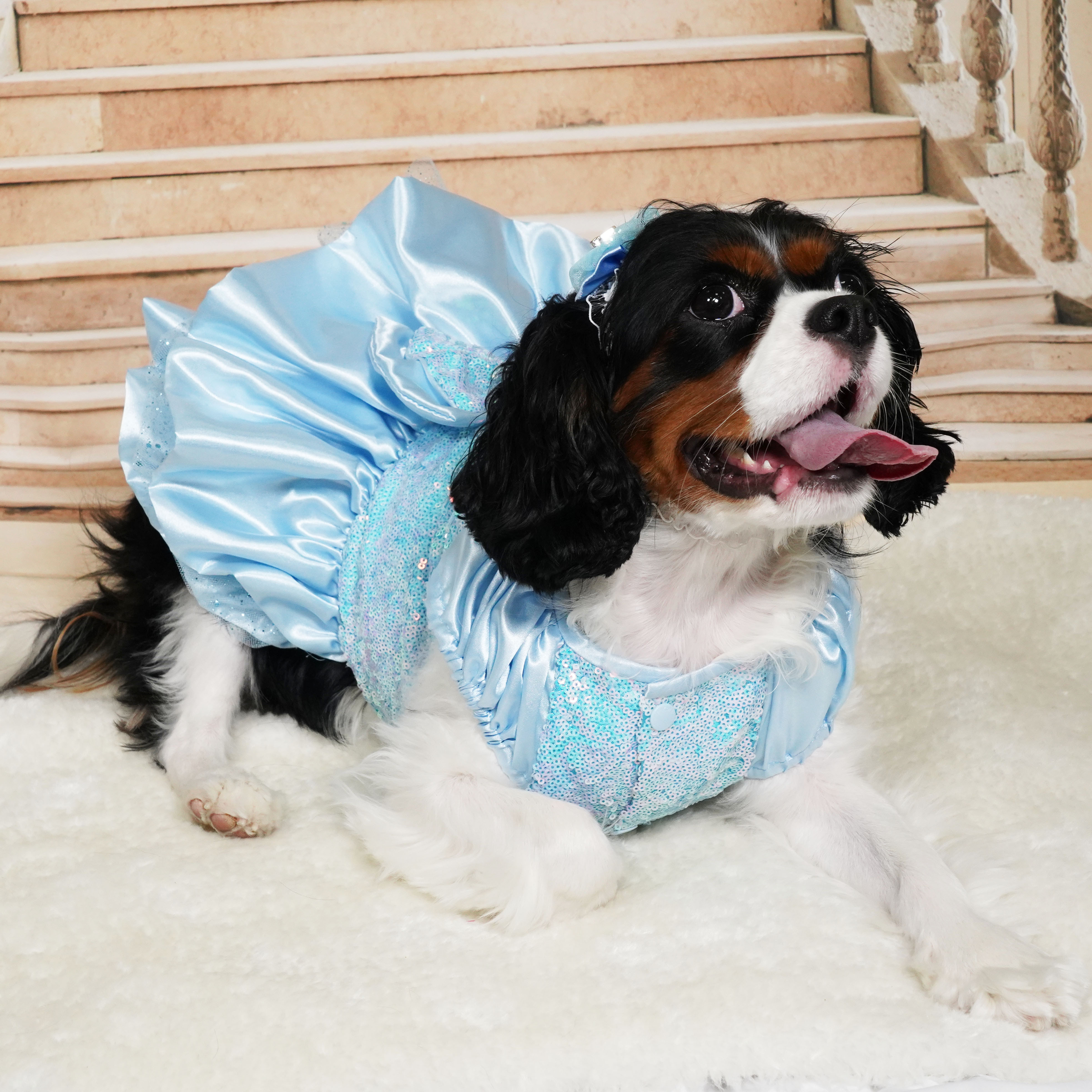 Blue Princess Dress (excluded Headband)