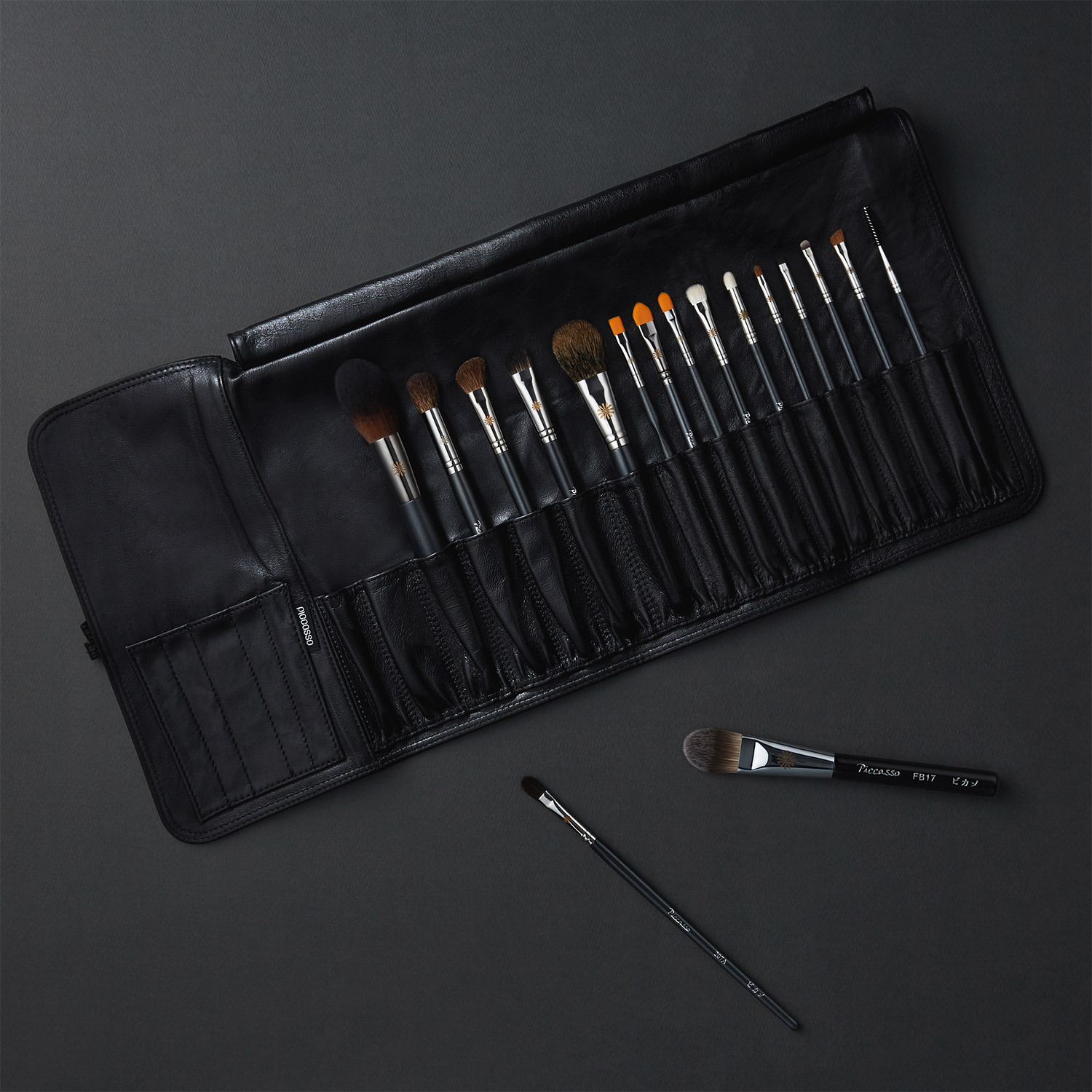 PICCASSO Professional Black 18 Types Makeup Brush Set