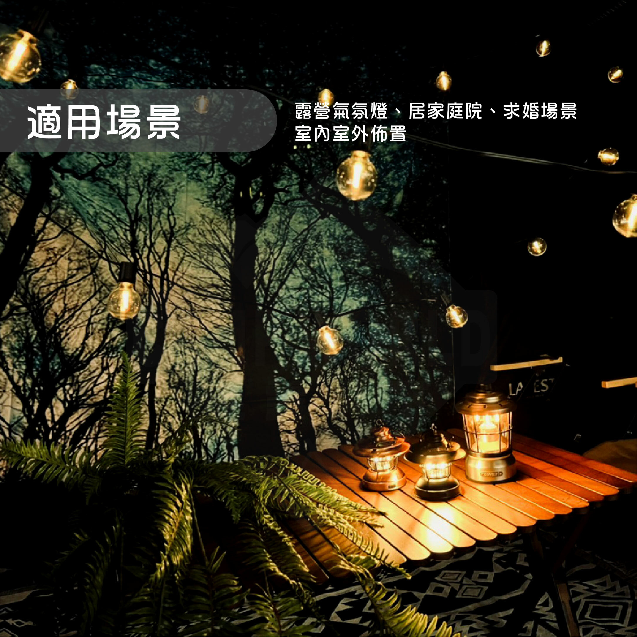 【CAMPWORLD】逐露天下 G40復古防水LED串燈—炫彩星空版