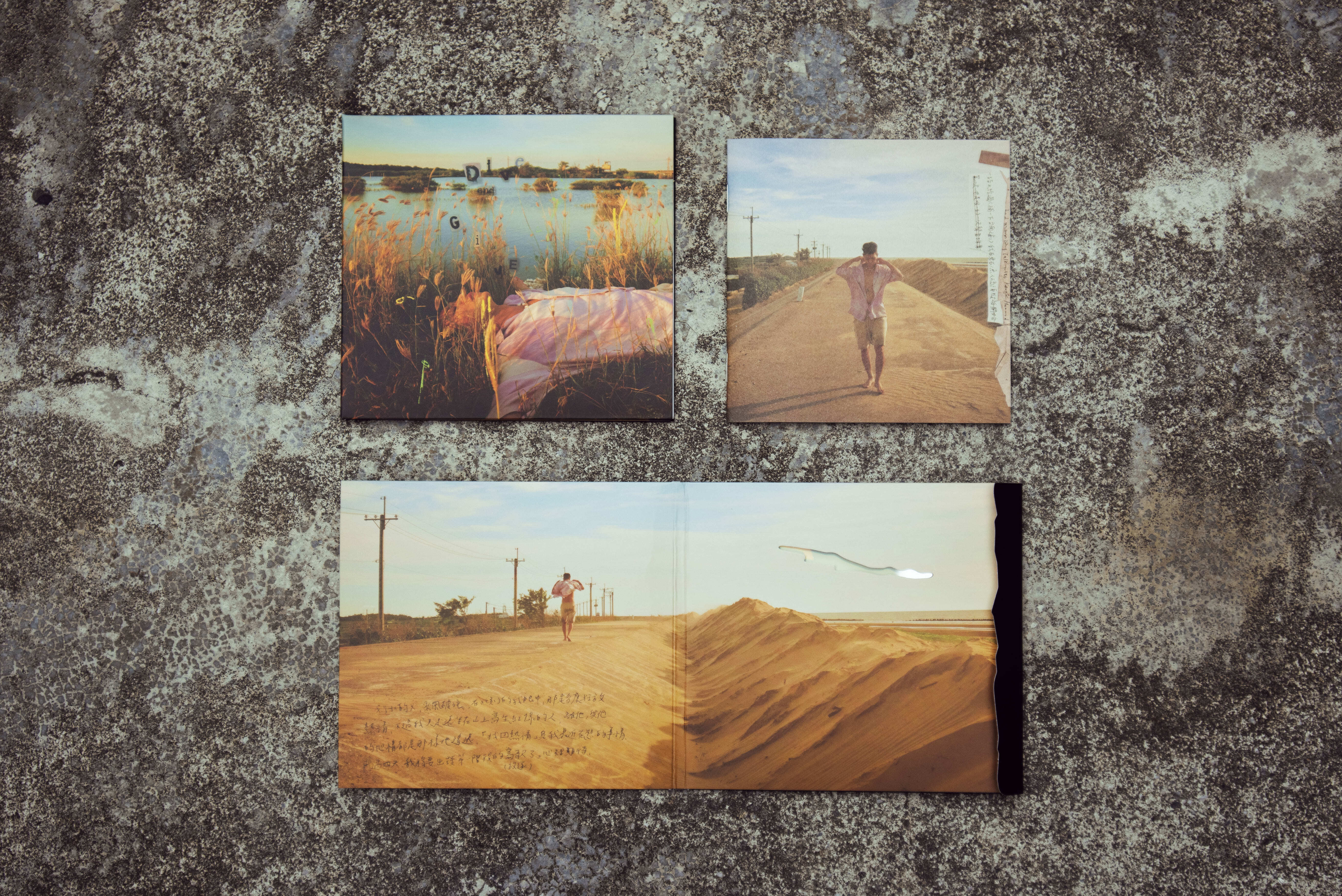 雷擎《Dive & Give》