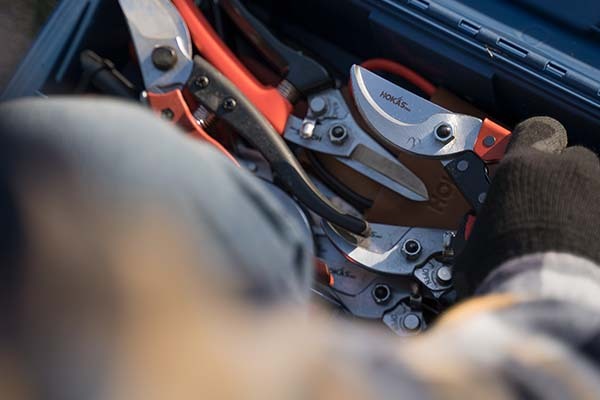 修枝剪要怎麼保養