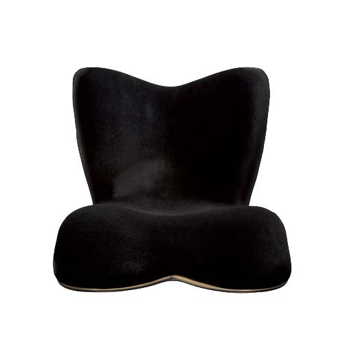 Style Premium DX 姿優墊 YSAM03A