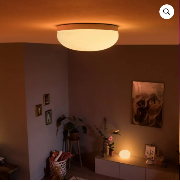 Philips 40905 Hue Flourish 白光彩光吸頂燈 (藍牙版)