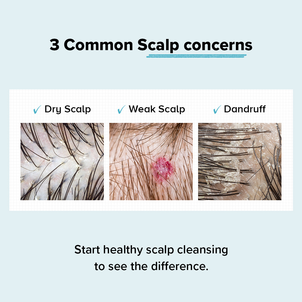 GRAFEN Midnight Velvet Shampoo 500ml