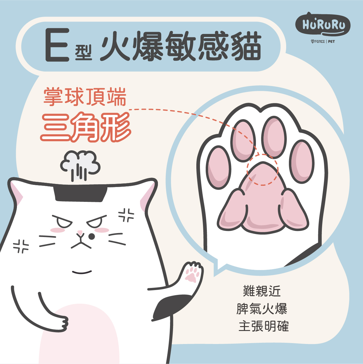 Ｅ型貓掌整體三角形肉球脾氣差難靠近自我貓