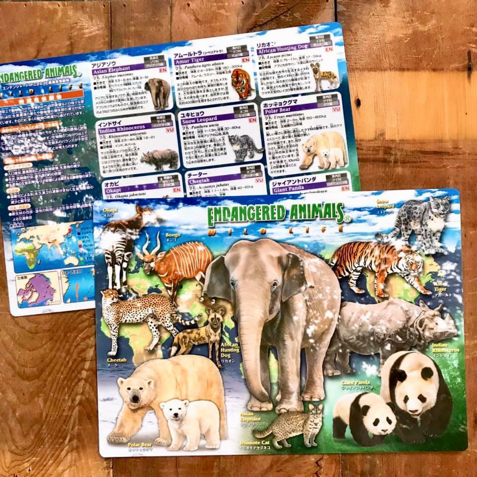 動物圖鑑墊板