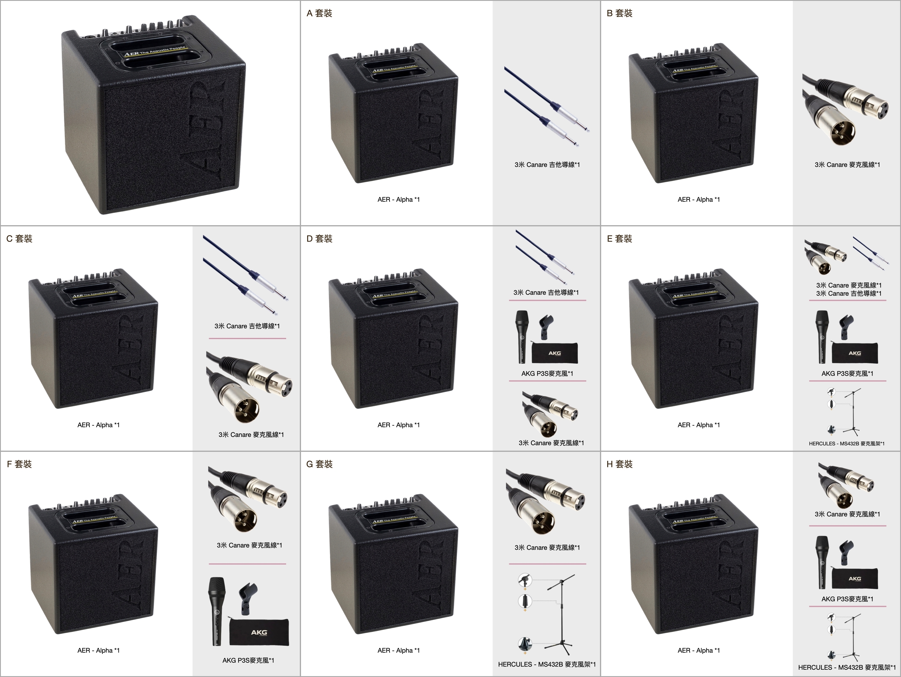 AER AER - Alpha plus 50瓦專業木吉他音箱 專業型音箱 德國製 公司貨 Tommy Emmanuel 指定品牌 第 5 張圖片｜三峽吉他 / Bass