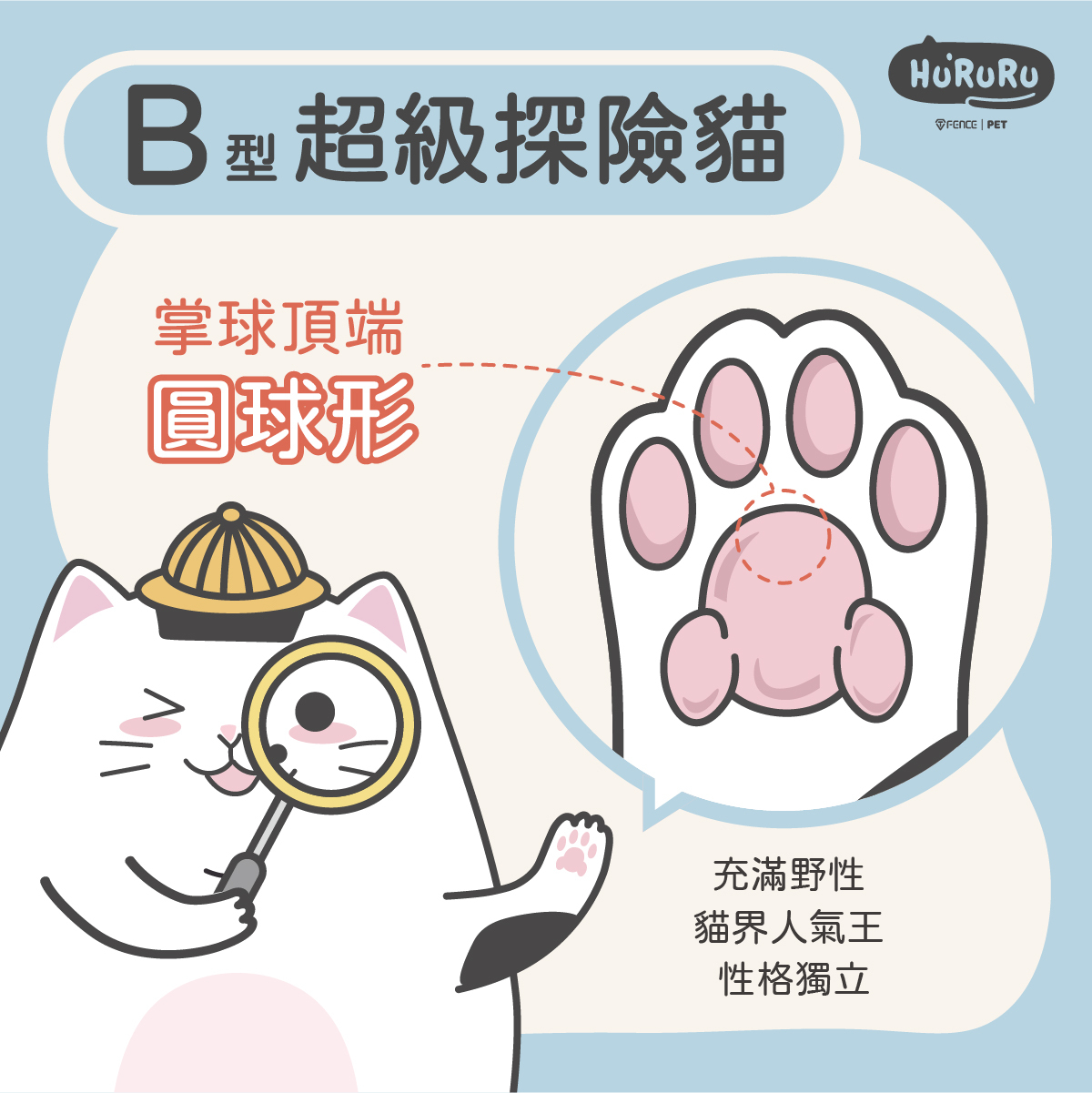 Ｂ型貓掌頂端圓球型肉球充滿野性個性獨立愛探險