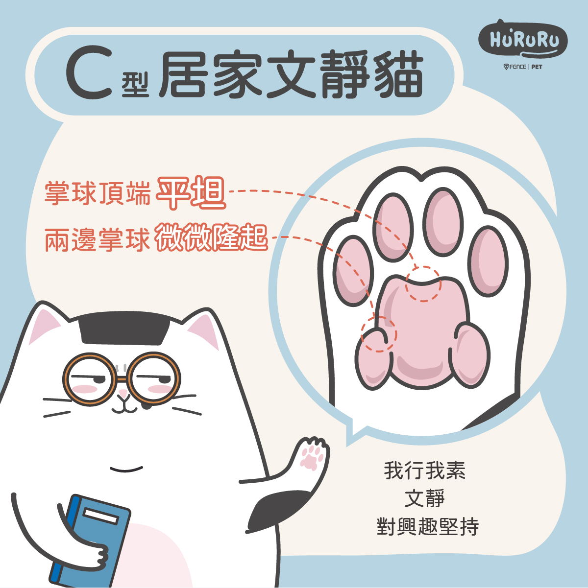 Ｃ型貓掌頂端平坦型肉球傲嬌冷靜有個性貓
