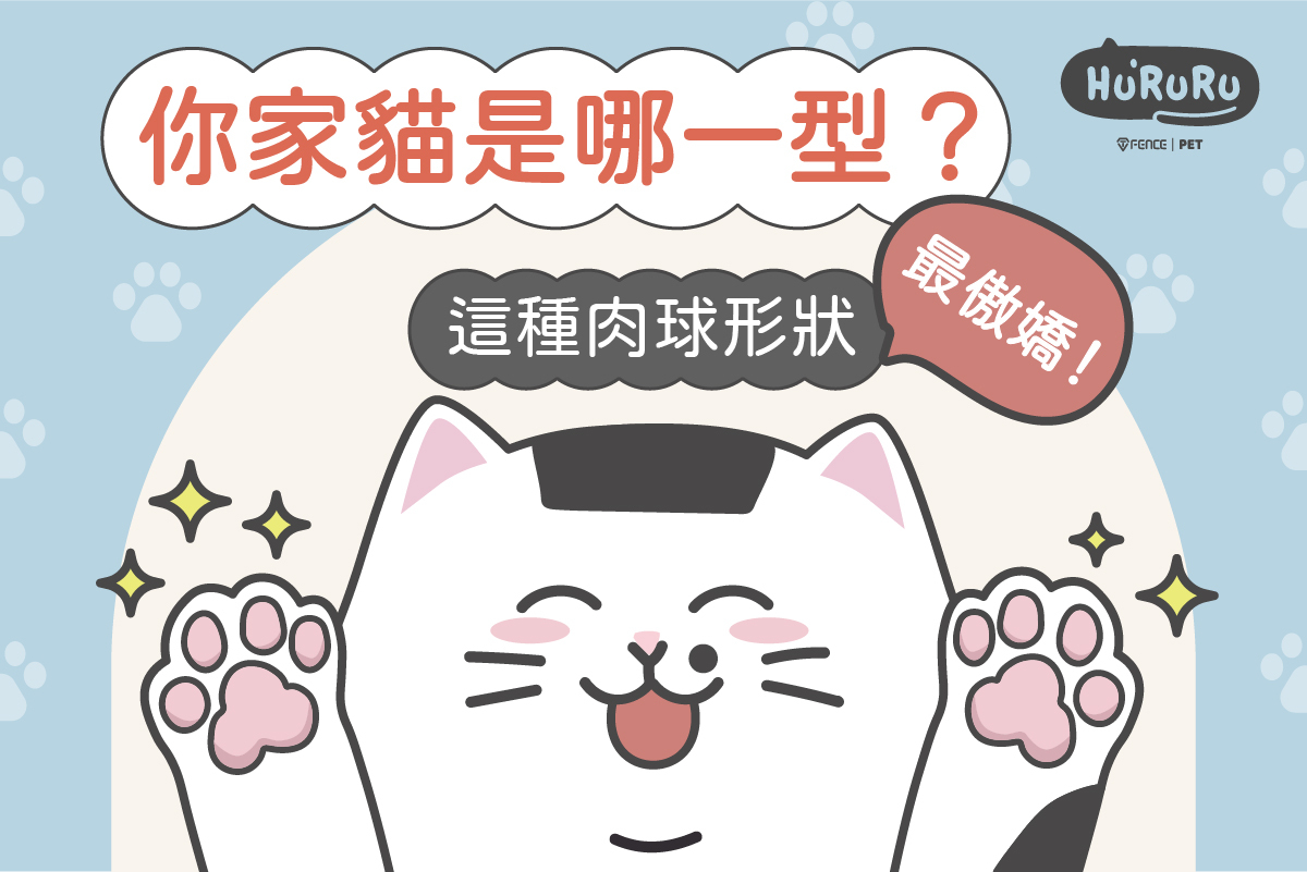 貓前腳肉球手相算命算出貓咪個性