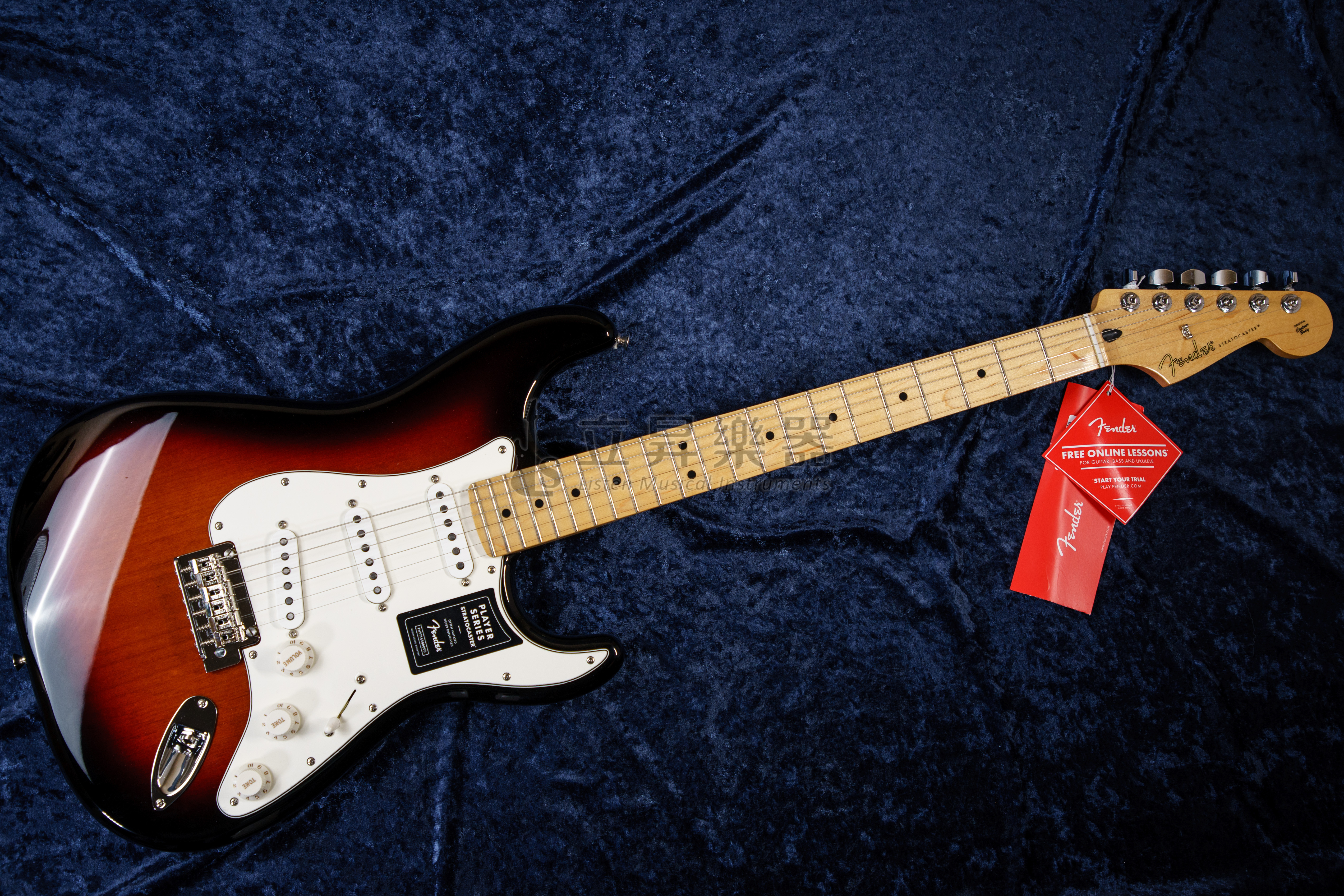 Fender Player Stratocaster MN 3TS 單單單小搖座電吉他楓木指板三