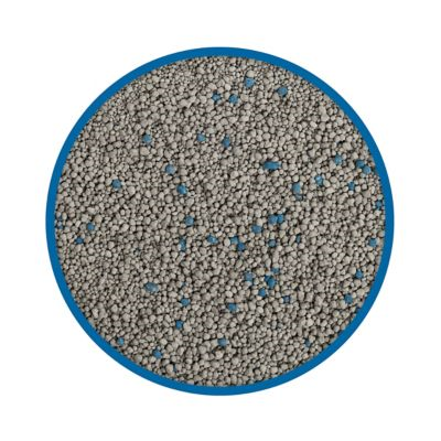 Tidy Cats Immediate Odor Control Formula 35lb