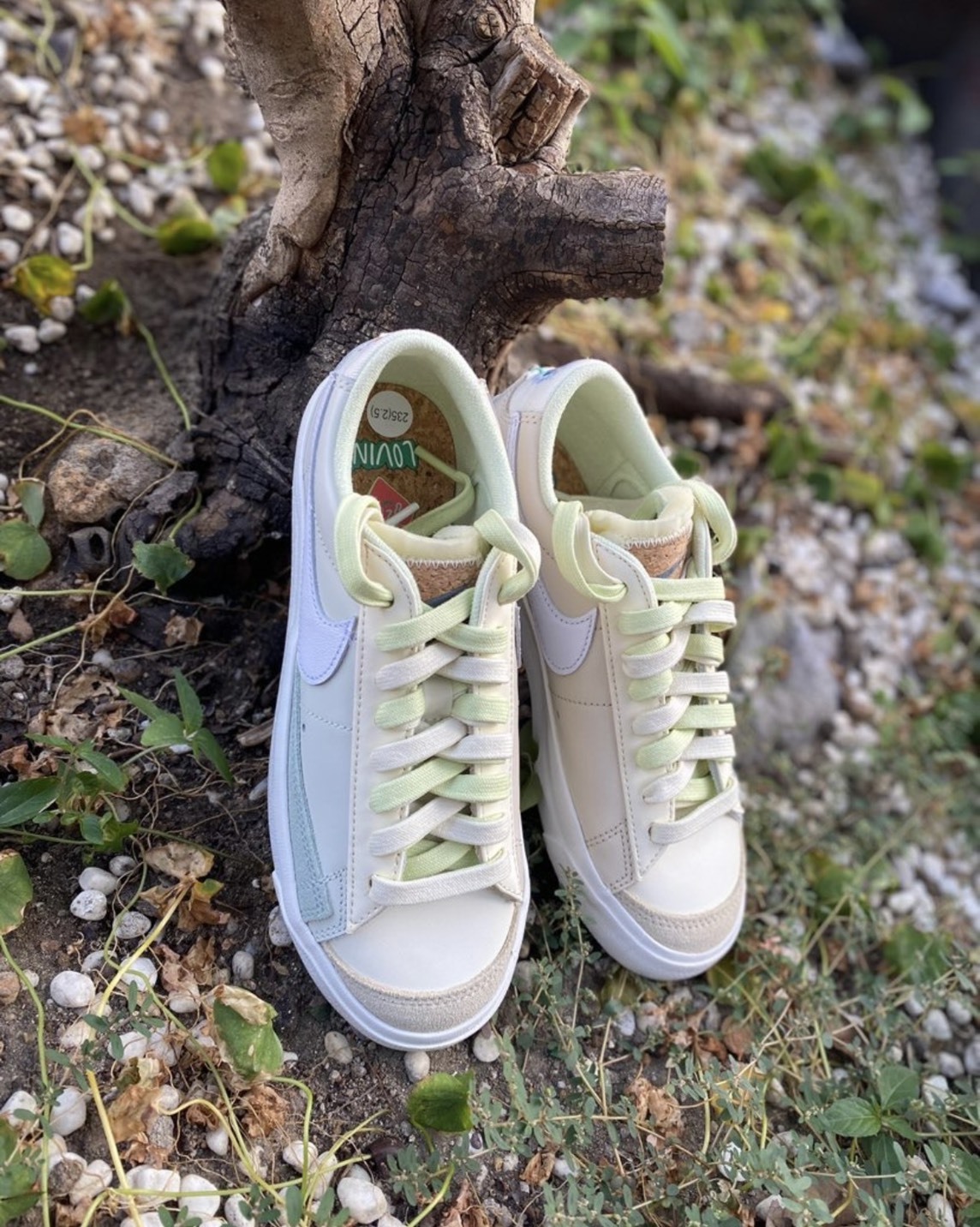 NIKE BLAZER LOW 77 抹茶奶綠 蒲公英 標語 刺繡 軟木塞 休閒鞋