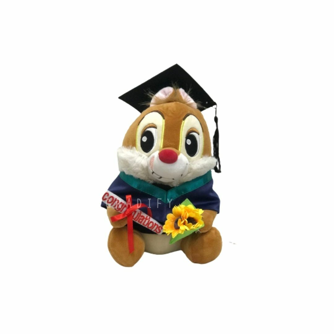 🎓 28CM DALE 畢業公仔 - 香港大學學士