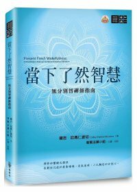 當下了然智慧：無分別智禪修指南
