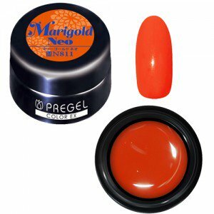 PREGEL - EX N811 (3)