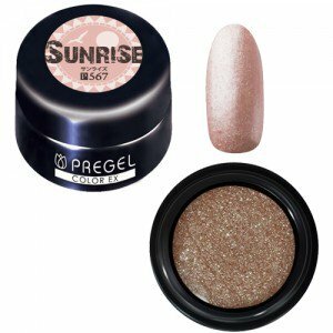 PREGEL - EX 567 (3g)