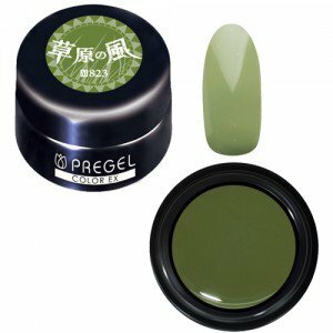 PREGEL - EX 823 (3g)