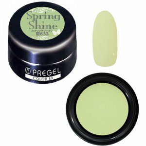 PREGEL - EX 832 (3g)