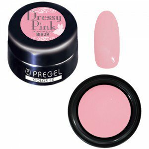 PREGEL - EX 829 (3g)