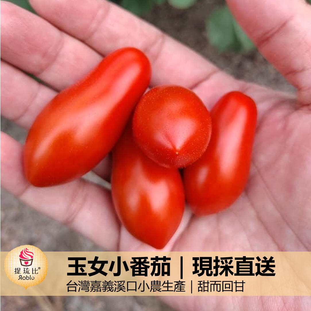 ★每年12月-隔年2月限定，歡迎來訊預購★ (10盒) 玉女小蕃茄｜產地直送！｜嘉義溪口