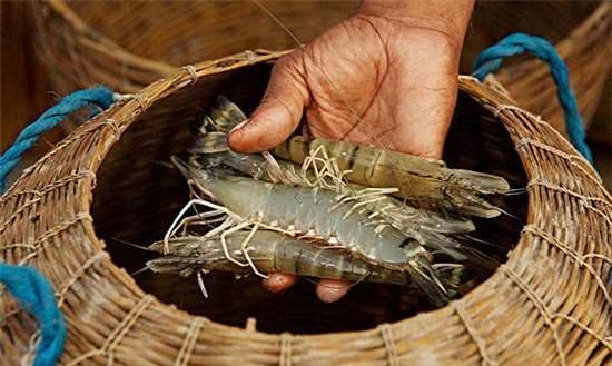 🔥火火密密餸🔥~家中無限聚特惠海鮮套餐🐟🦐🦀