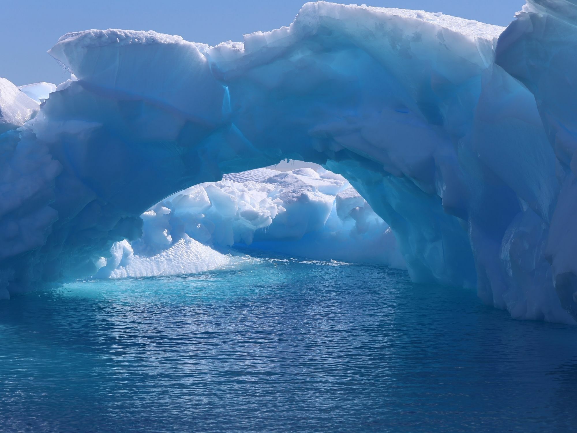 Essentia 嚴選成分 - 南極冰河醣蛋白