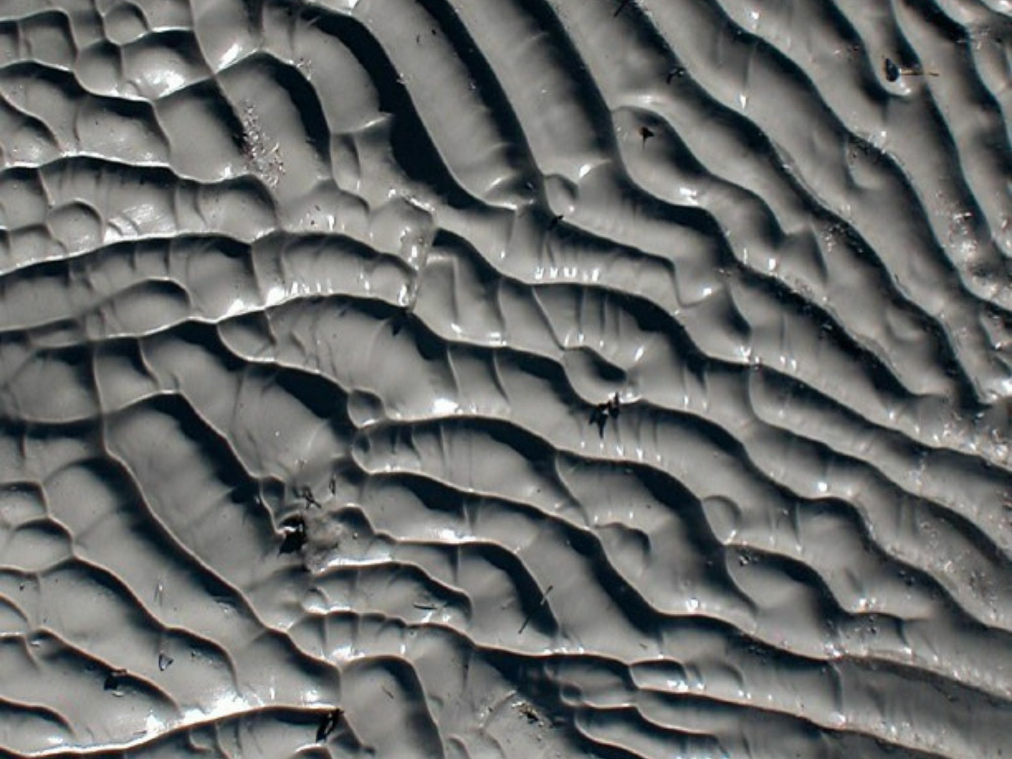 阿拉斯加冰河泥