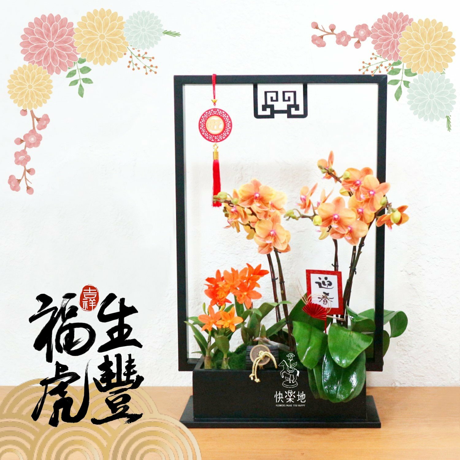 祥雲翩來 I 蘭花盆栽    OP200560