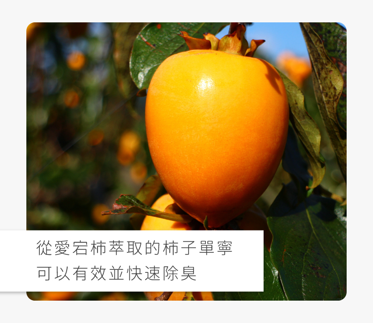 私密處,清潔,保養,美白,gini