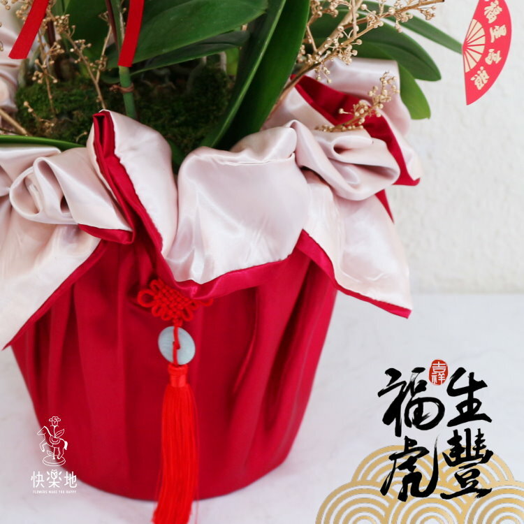 蕙蘭織錦   OP210421