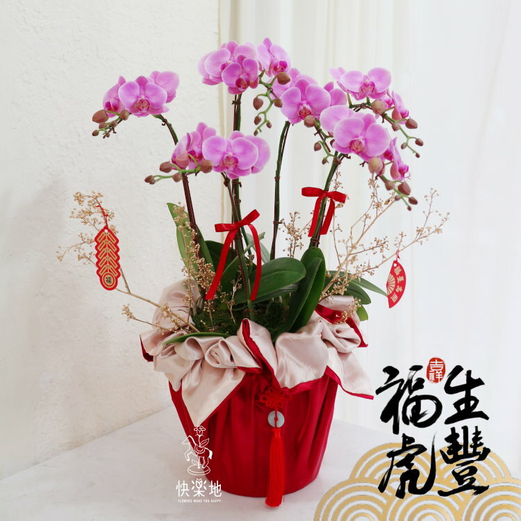 蕙蘭織錦   OP210421