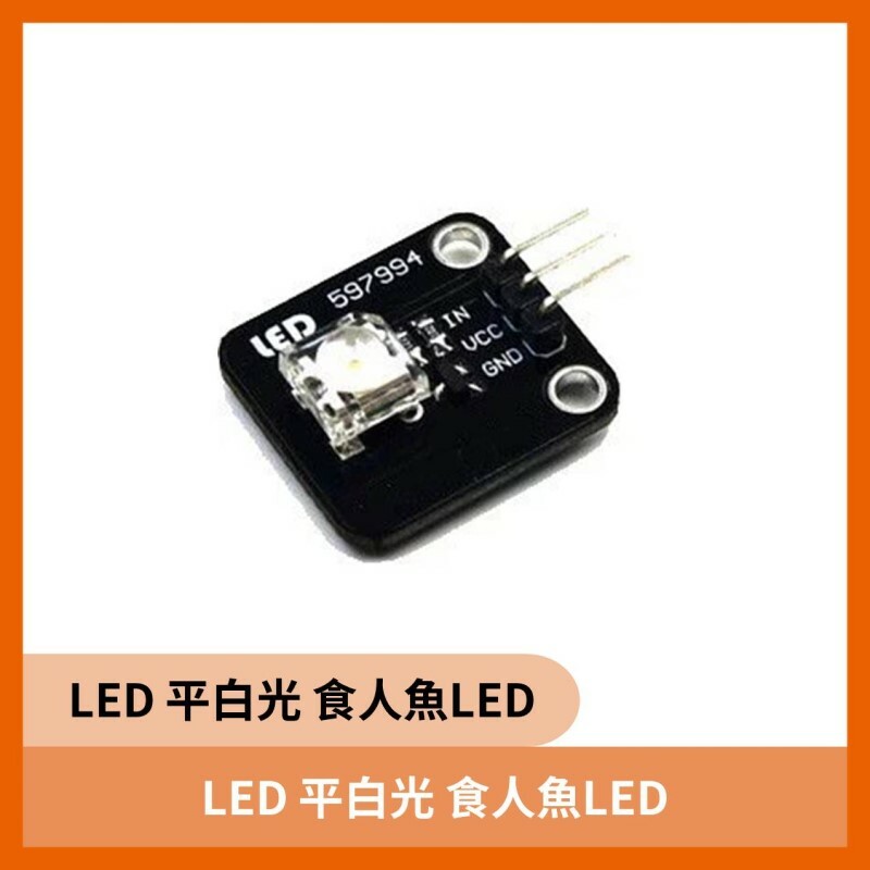 LED 平白光 食人魚LED