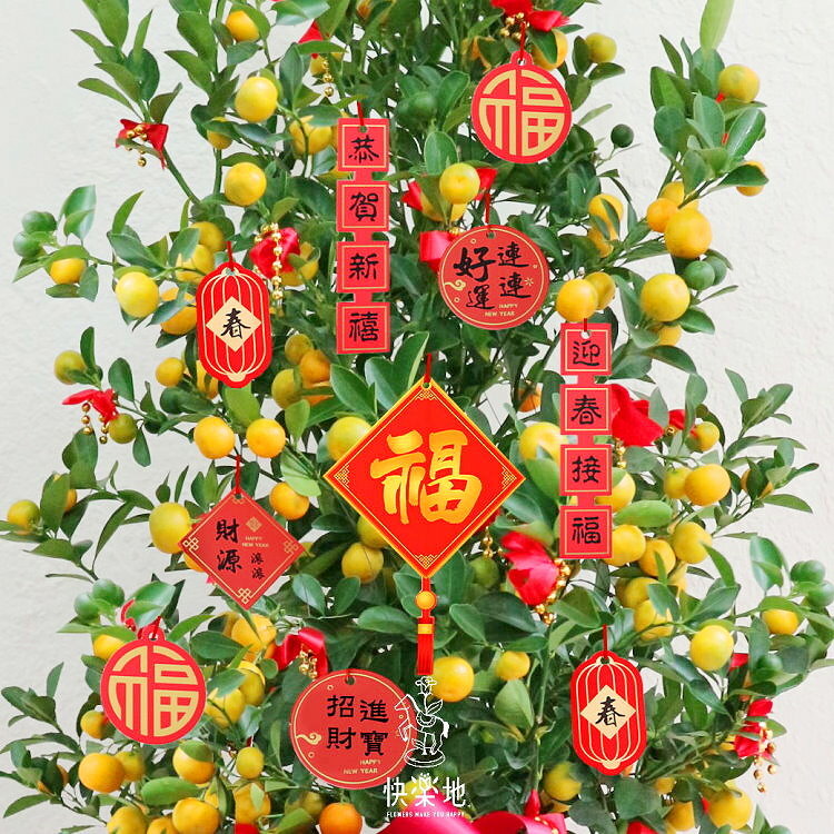 大吉大利❁金桔樹 買大就送-開運蛇寶寶  OP240999