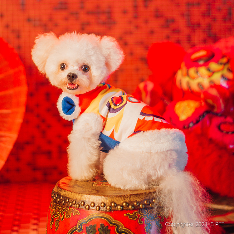 【新年2022】IsPet 中國風醒獅外套 - [6尺寸]
