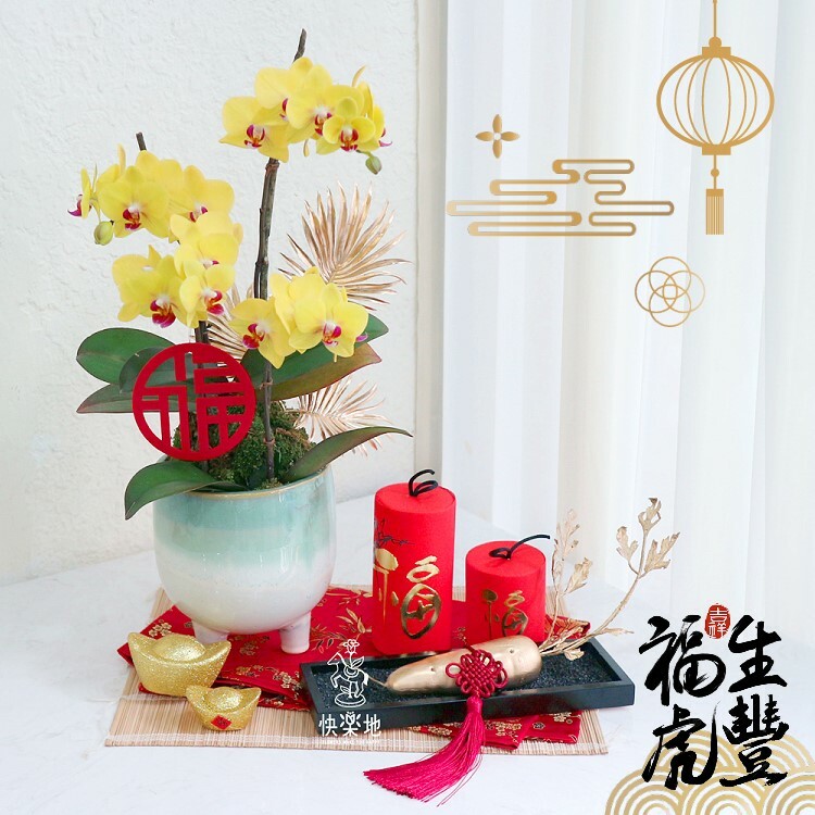 金采福氣  OP210480