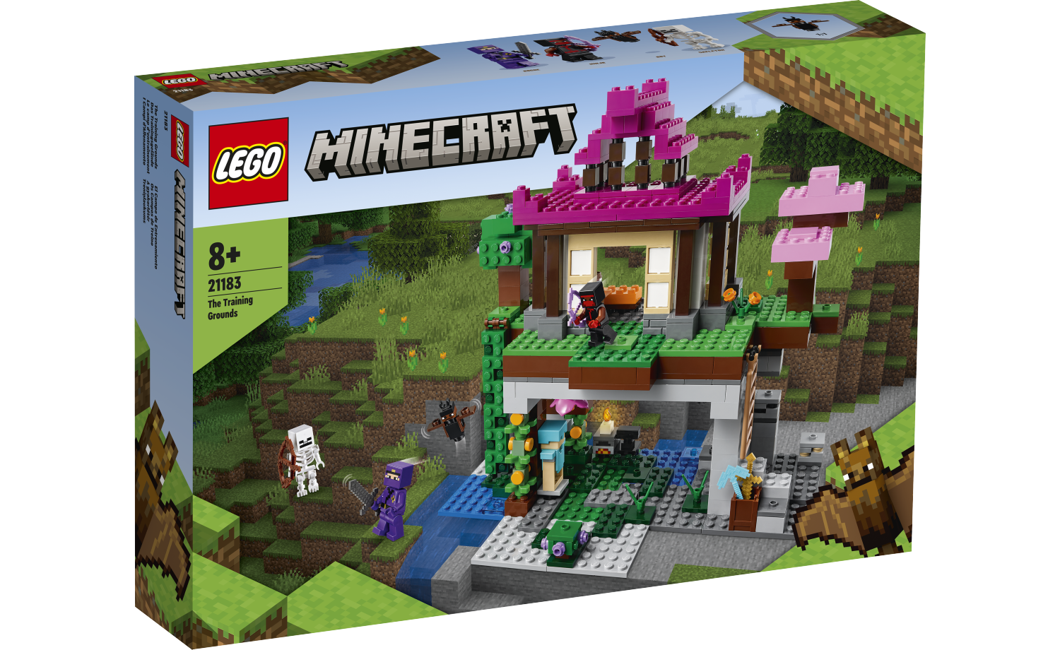 [飛米樂高積木磚賣店] LEGO 21183 Minecraft-訓練場