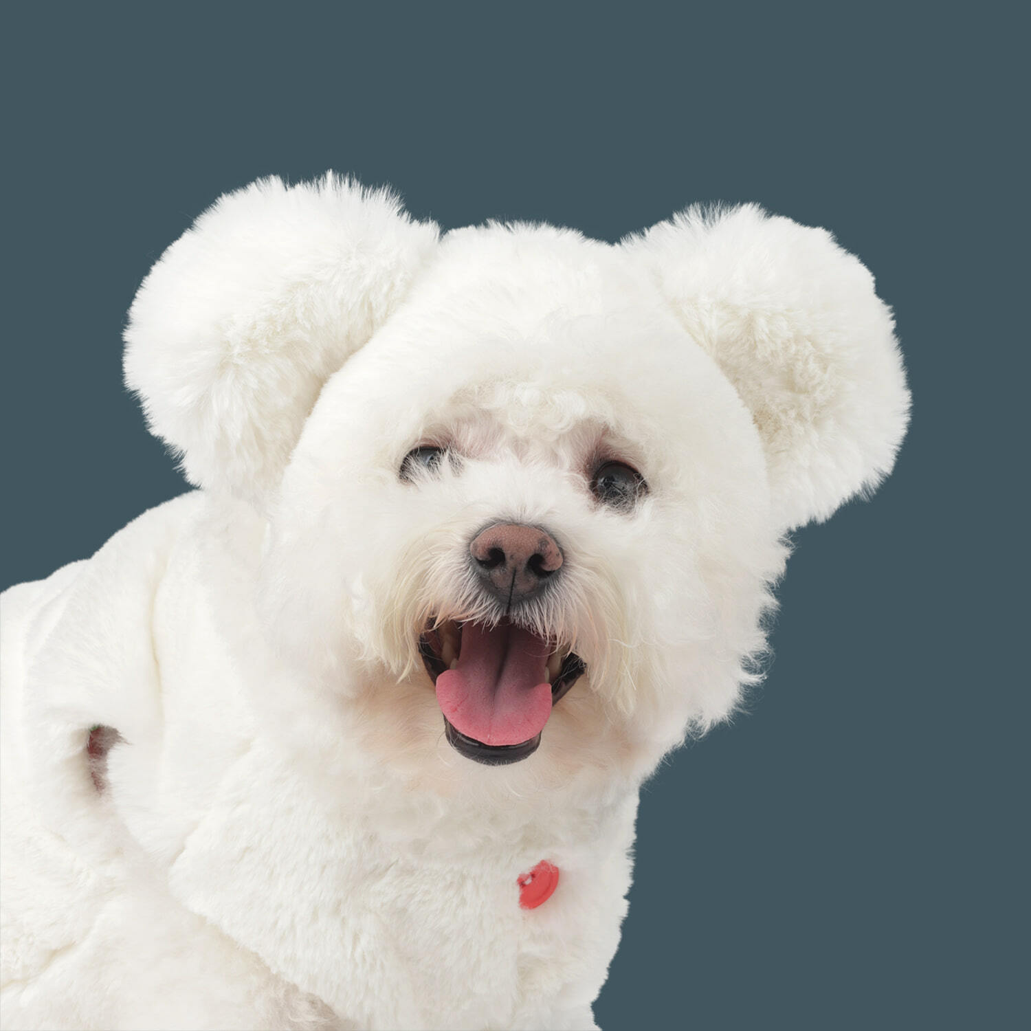 MONCHOUCHOU 毛毛多本熊造型帽（米白）