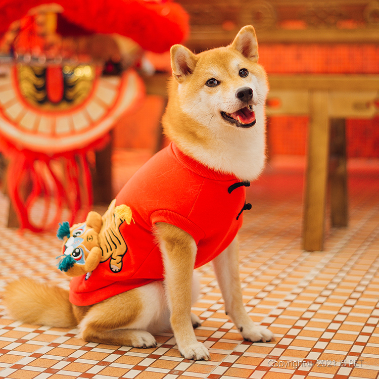 【新年2022】IsPet 老虎下山衛衣 [6尺寸]