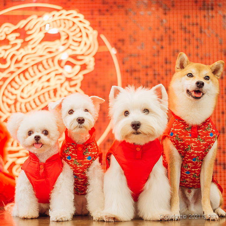 【新年2022】IsPet 老虎變龍雙面棉衣 - [7尺寸]