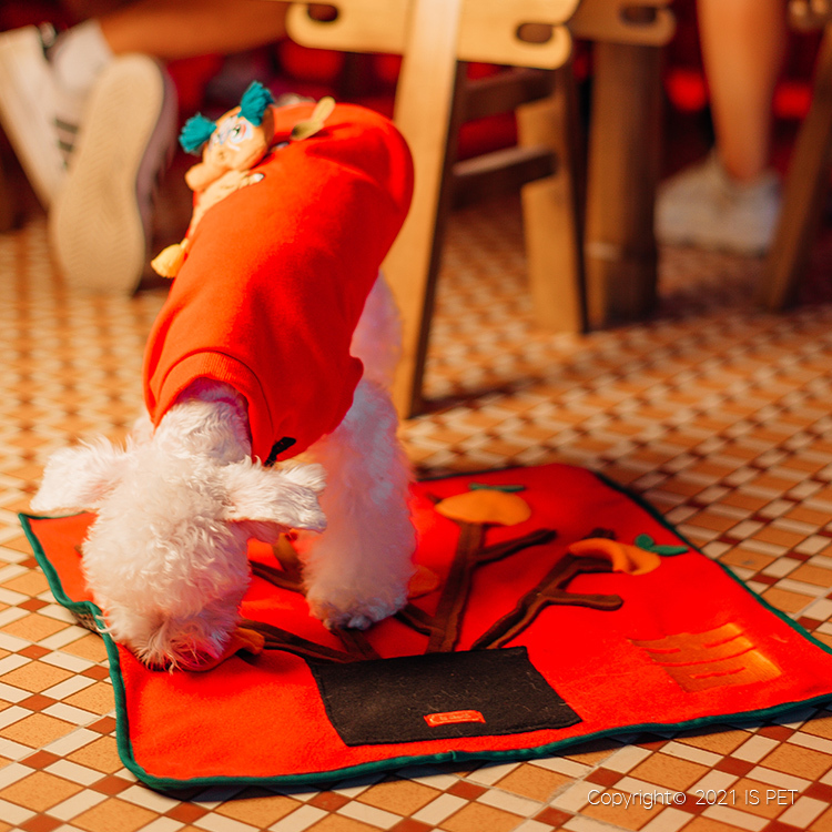 【新年2022】IsPet 大吉大利嗅聞墊 (F50*50cm)