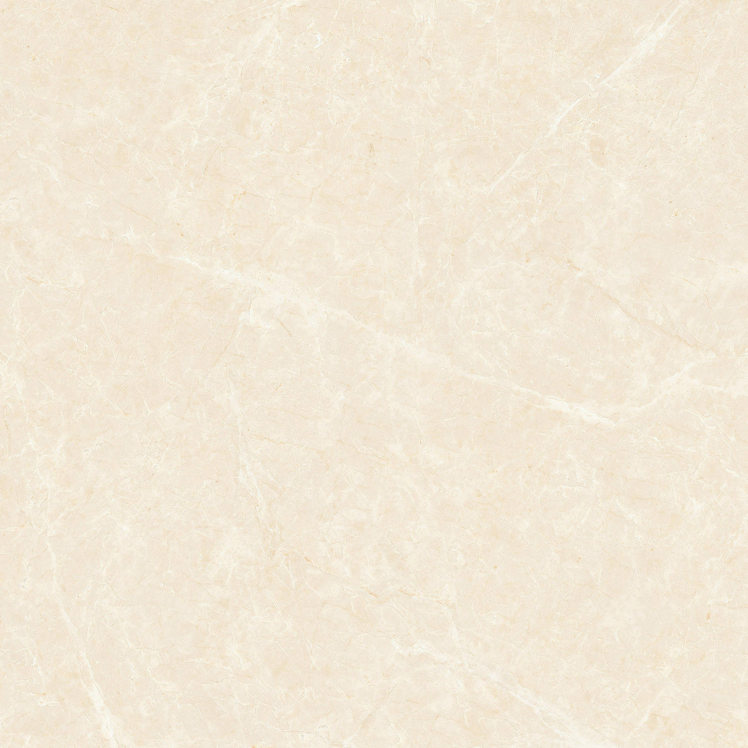 EHY61202