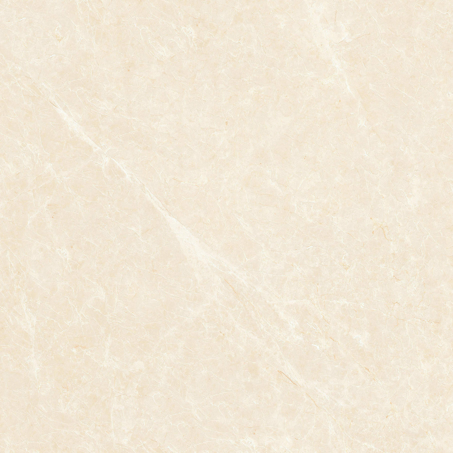 EHY61202