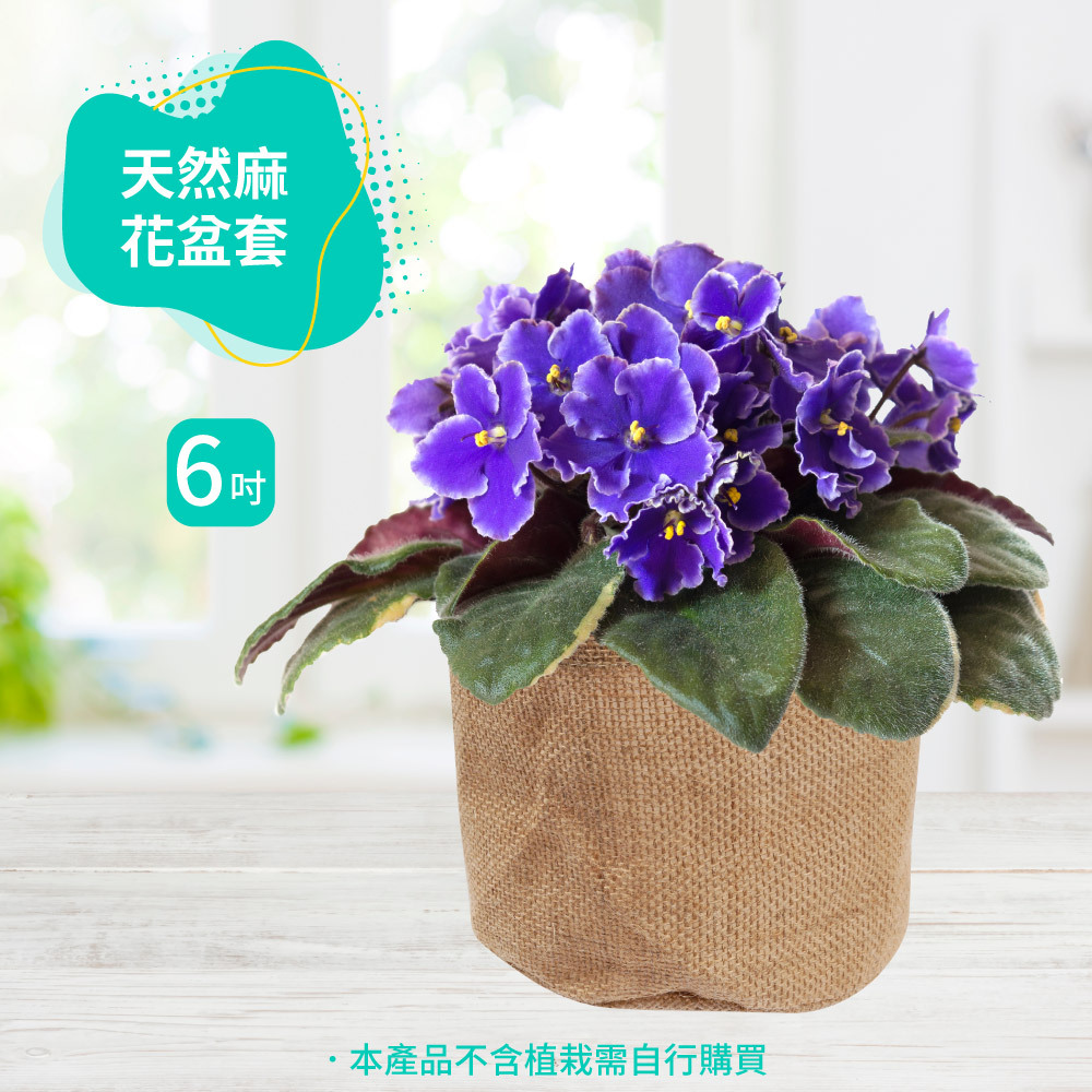 天然麻花盆套6吋-2入