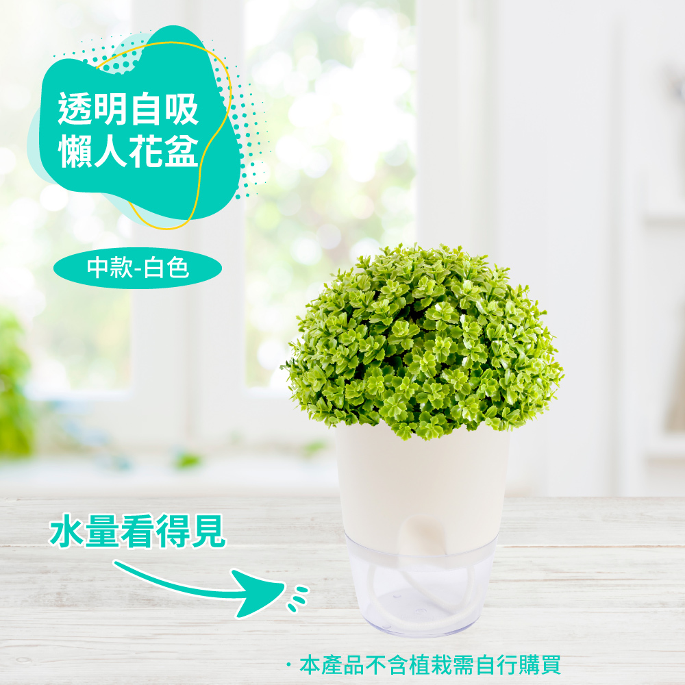 透明自吸懶人花盆白色-中