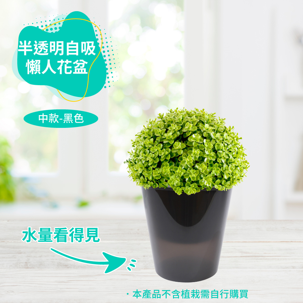 半透明黑自吸懶人花盆-中